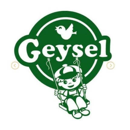 Logotipo de Productos Geysel S.L.