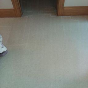 Bild von Performance Carpet Cleaners