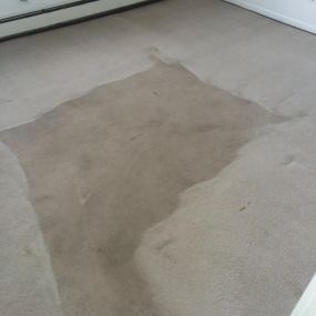 Bild von Performance Carpet Cleaners