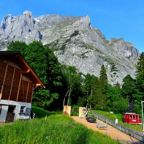 Bild von Hotel-Restaurant Wetterhorn