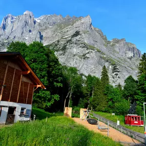 Bild von Hotel-Restaurant Wetterhorn