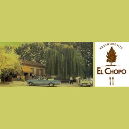 Logotipo de Restaurante El Chopo