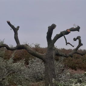 EMPRESADETALATARRAGONA.jpg