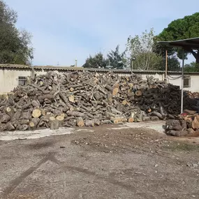 VENTADELENATARRAGONA.jpg