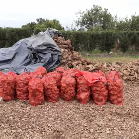 ventalenaalgarrobotarragona.jpg