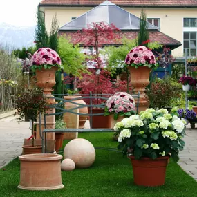 WANDALLER Baumschule u. Gartengestaltung