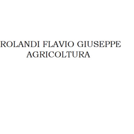 Logo van Rolandi Flavio Giuseppe