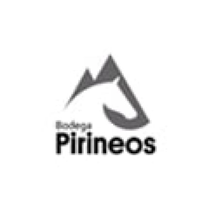 Logotipo de Bodega Pirineos S.A.