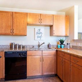 The Grand Wisconsin Apartment Kitchen