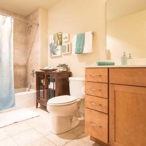 The Grand Wisconsin Apartment Master Bathroom