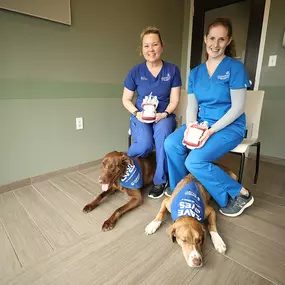 Bild von BluePearl Pet Hospital