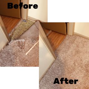 Bild von A Johnny's Carpet Surgeons, Cleaning & Repair