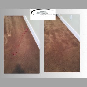 Our services include Carpet Repair & Stretching, Carpet Cleaning, Upholstery Cleaning, Pet Damage, and much more.