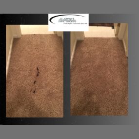 Bild von A Johnny's Carpet Surgeons, Cleaning & Repair