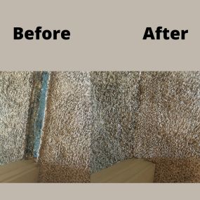 Our services include Carpet Repair & Stretching, Carpet Cleaning, Upholstery Cleaning, Pet Damage, and much more.