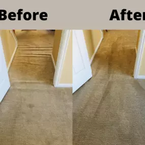 Bild von A Johnny's Carpet Surgeons, Cleaning & Repair