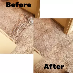 Bild von A Johnny's Carpet Surgeons, Cleaning & Repair