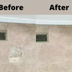 Our services include Carpet Repair & Stretching, Carpet Cleaning, Upholstery Cleaning, Pet Damage, and much more.