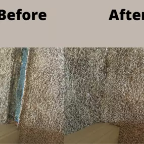 Our services include Carpet Repair & Stretching, Carpet Cleaning, Upholstery Cleaning, Pet Damage, and much more.