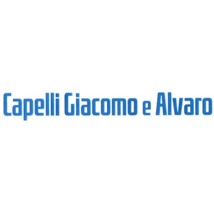 Logo von Autocarri Capelli Giacomo e Alvaro