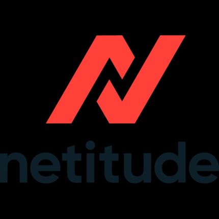 Logo de Netitude