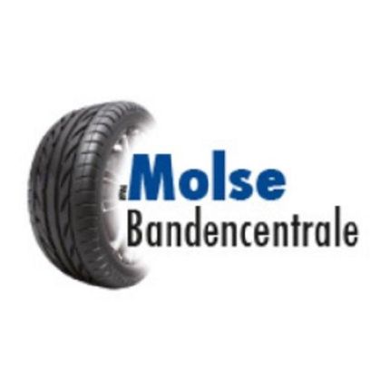 Logo von Molse Bandencentrale