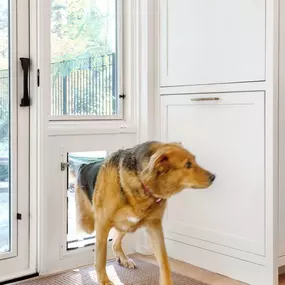 When we renovate, we need to include the needs of EVERY family member. In this case our four legged friend, Banjo, got his own doggy door plus custom cabinets for his kibble storage. He even got his own station for eating with the rest of his family. This was just one small part of a large whole hou