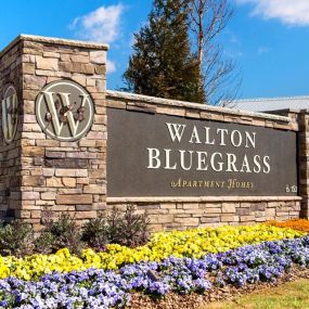 Bild von Walton Bluegrass & The Legacy at Walton Bluegrass (62+)