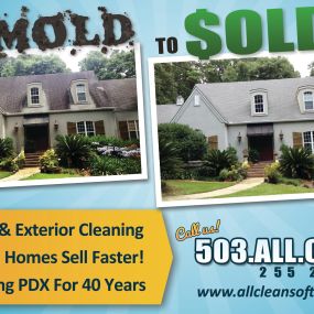 From Mold To Sold