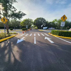 Parking lot asphalt, curb, and striping