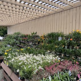 Bild von Grant Line Garden Center & Nursery