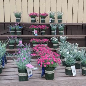 Bild von Grant Line Garden Center & Nursery