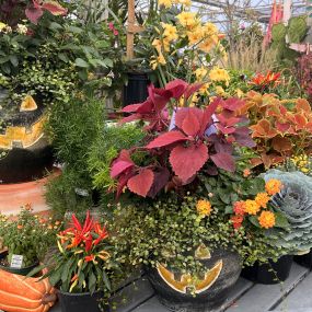 Bild von Grant Line Garden Center & Nursery