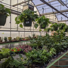 Bild von Grant Line Garden Center & Nursery