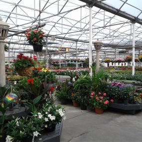 Bild von Grant Line Garden Center & Nursery