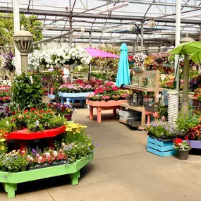 Bild von Grant Line Garden Center & Nursery