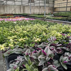 Bild von Grant Line Garden Center & Nursery