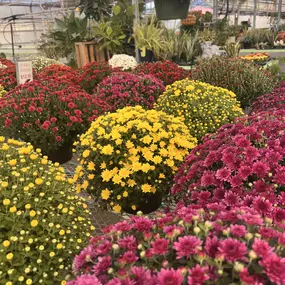 Bild von Grant Line Garden Center & Nursery