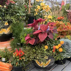 Bild von Grant Line Garden Center & Nursery