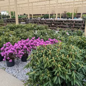 Bild von Grant Line Garden Center & Nursery