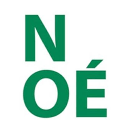 Logo de Noe' Carlo Maurizio