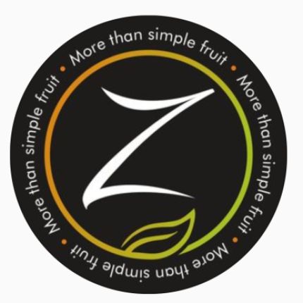 Logo de Zingales Srl