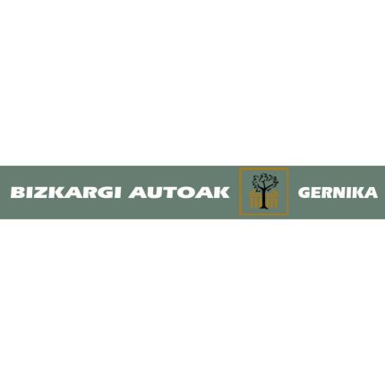 Logo od Bizkargi Autoak
