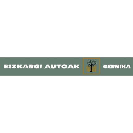 Logo da Bizkargi Autoak