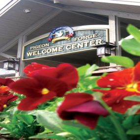 Bild von Pigeon Forge Department of Tourism