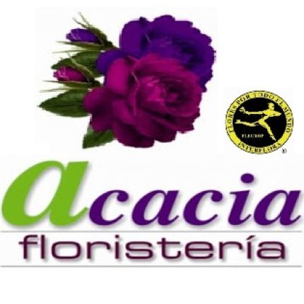 Logotipo de Floristería Acacia Mérida - Florista Maribel