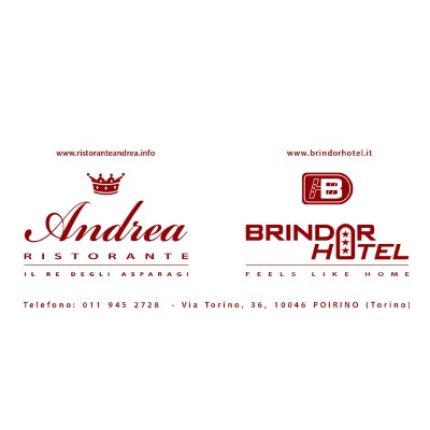 Λογότυπο από Hotel Brindor - Ristorante Andrea