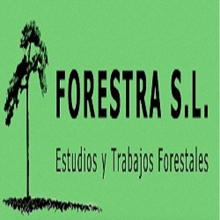 Logotyp från Forestra