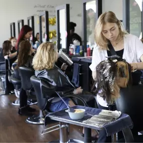 Bild von Tricoci University of Beauty Culture Elgin
