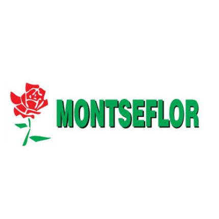 Logo de Floristeria Montseflor